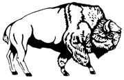buffalo-216