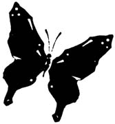 butterfly-012
