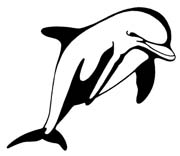 dolphin1-222