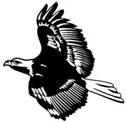 eagle-035