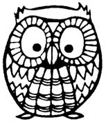 owl-01
