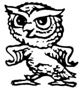 owl-02