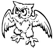 owl-03