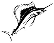 sailfish-226