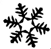 snowflake3