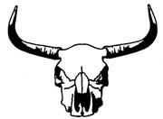 steer skull-2