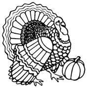 thanksgiving turkey-027