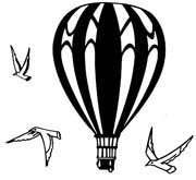 hotair balloon and bird