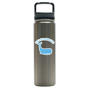 700 ML Brushed Stainless Eugene Vacuum Insulated Water Bottle